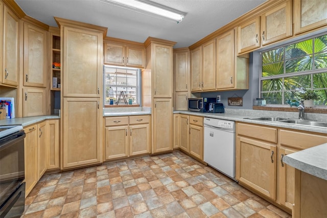 6607 S Merleing Loop, Floral City, FL 34436 - kitchen featuring dishwasher, light brown cabinets, light countertops, and black electric range oven