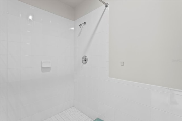 4301 W Swann Ave, Tampa, FL 33609 - photo 62