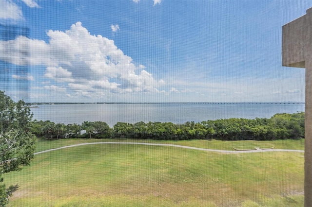 2617 Cove Cay Dr Unit 706, Clearwater, FL 33760 - water view with a golf course