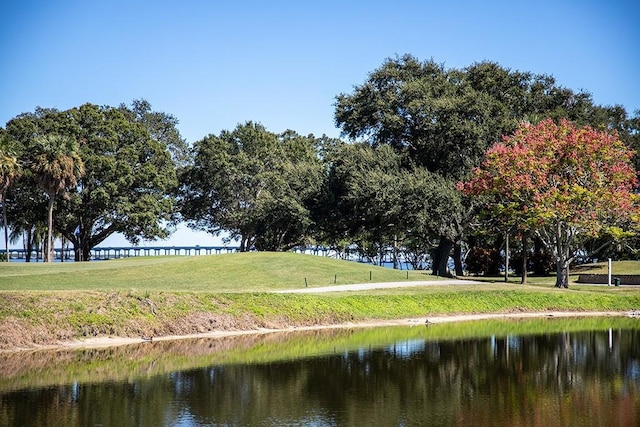 2617 Cove Cay Dr Unit 706, Clearwater, FL 33760 - view of property's community with a water view and a yard