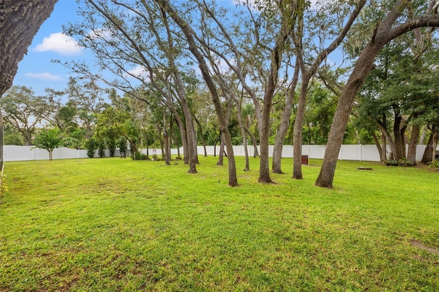 2420 Clement Rd, Lutz, FL 33549 - photo 55