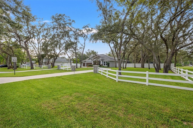 2420 Clement Rd, Lutz, FL 33549 - photo 58