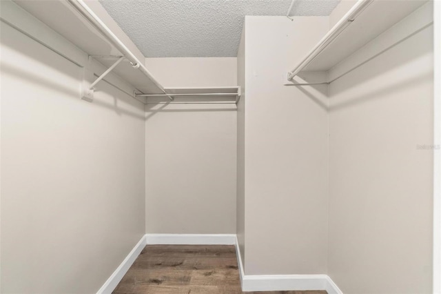 4915 Bay St NE Unit 123, Saint Petersburg, FL 33703 - photo 11