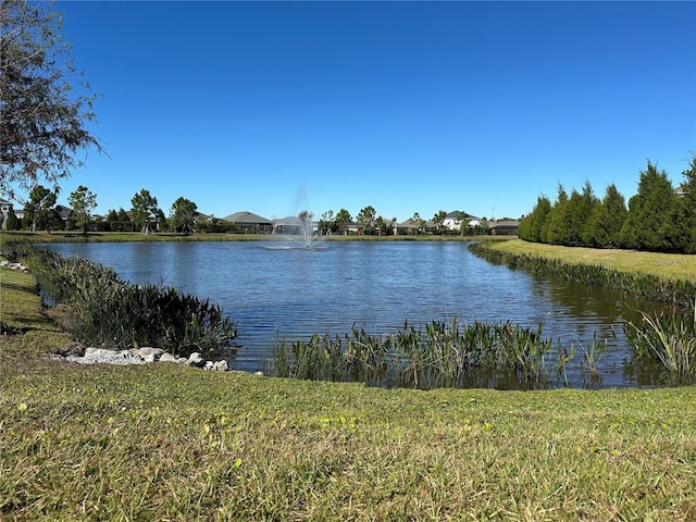 6106 162nd Ave E, Parrish, FL 34219 - photo 29