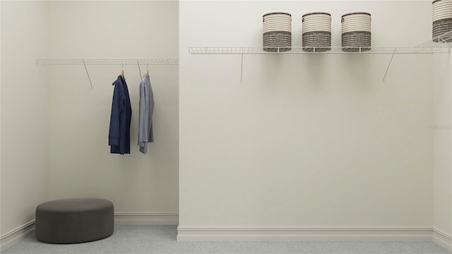 7534 E 117th Ln, Palmetto, FL 34221 - view of spacious closet