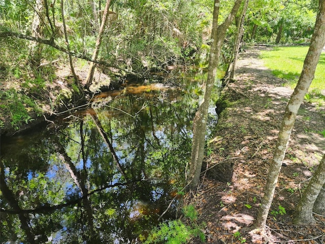5211 S Court Ave, Homosassa, FL 34448 - photo 3