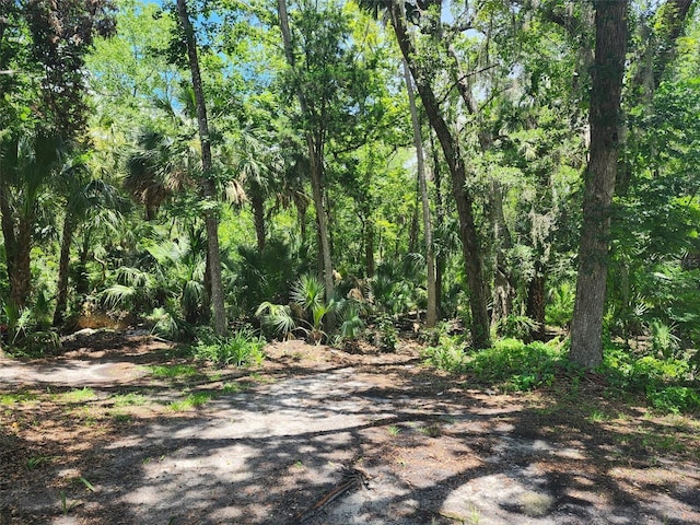 5211 S Court Ave, Homosassa, FL 34448 - photo 6