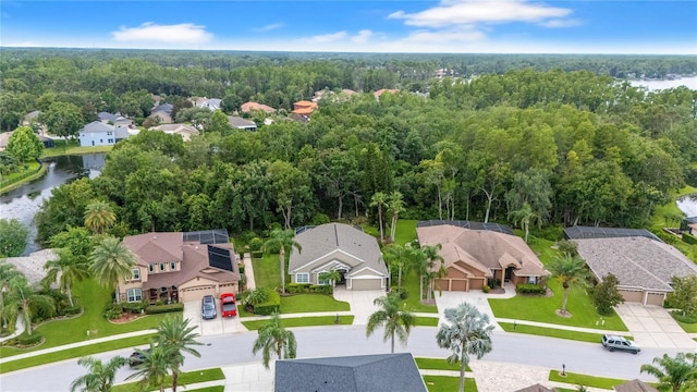 21314 Marsh Hawk Dr, Land O Lakes, FL 34638 - photo 53