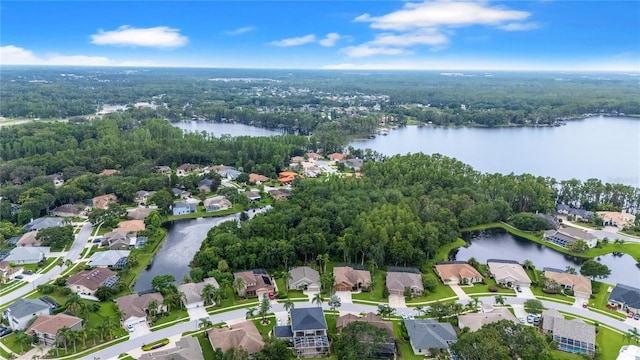 21314 Marsh Hawk Dr, Land O Lakes, FL 34638 - photo 54