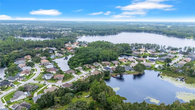 21314 Marsh Hawk Dr, Land O Lakes, FL 34638 - photo 55
