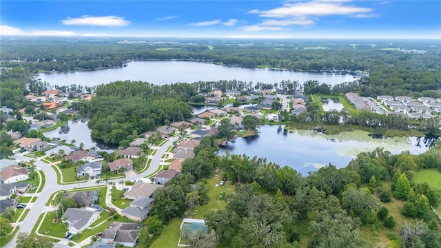 21314 Marsh Hawk Dr, Land O Lakes, FL 34638 - photo 56