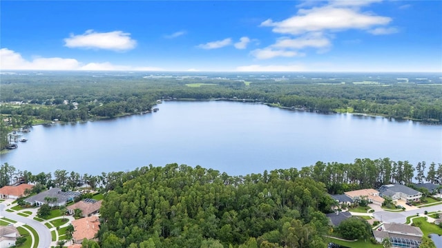 21314 Marsh Hawk Dr, Land O Lakes, FL 34638 - photo 57