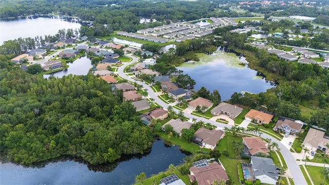 21314 Marsh Hawk Dr, Land O Lakes, FL 34638 - photo 58