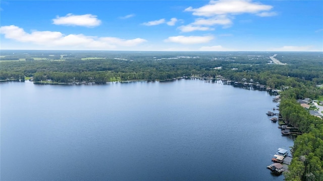 21314 Marsh Hawk Dr, Land O Lakes, FL 34638 - photo 61