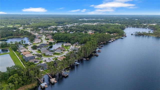 21314 Marsh Hawk Dr, Land O Lakes, FL 34638 - photo 62