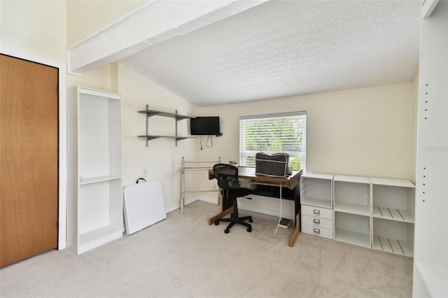 12835 74th Ave, Seminole, FL 33776 - carpeted office featuring lofted ceiling and a textured ceiling
