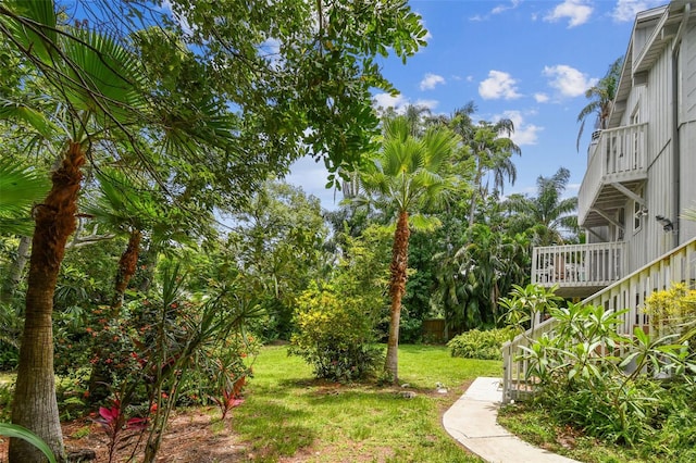 12835 74th Ave, Seminole, FL 33776 - view of green lawn