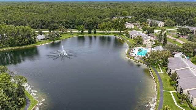 3113 Lake Pine Way Unit C, Tarpon Springs, FL 34688 - photo 61