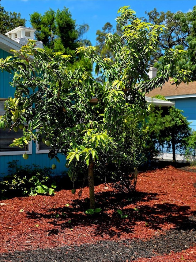 6428 Old Main St, New Port Richey, FL 34653 - view of yard with a garage