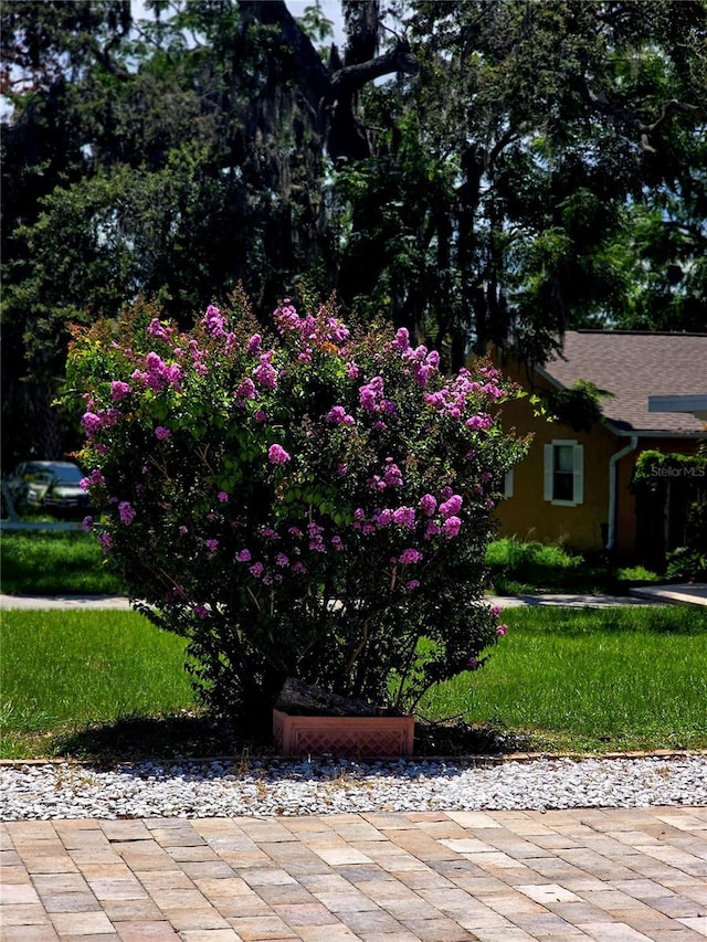 6428 Old Main St, New Port Richey, FL 34653 - view of front of house featuring a front lawn
