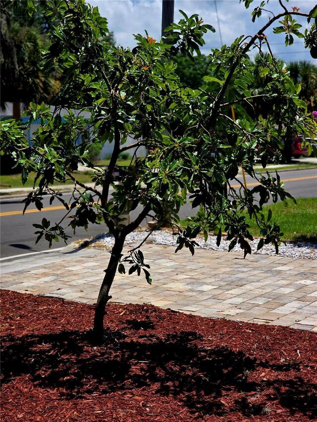 6428 Old Main St, New Port Richey, FL 34653 - surrounding community
