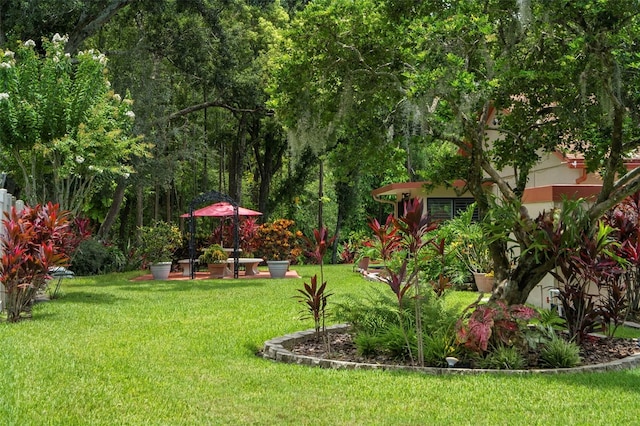 4208 Carrollwood Village Dr, Tampa, FL 33618 - photo 46