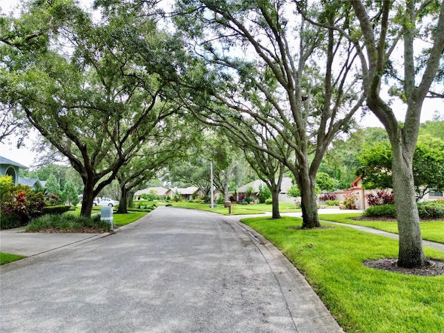 4208 Carrollwood Village Dr, Tampa, FL 33618 - photo 49