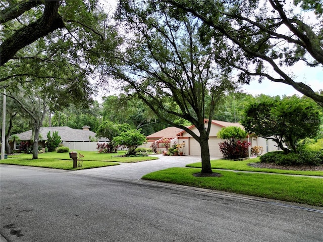 4208 Carrollwood Village Dr, Tampa, FL 33618 - photo 50