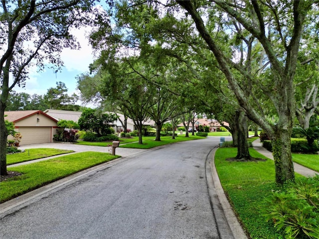 4208 Carrollwood Village Dr, Tampa, FL 33618 - photo 51