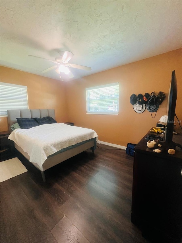 6316 Alaska Ave, New Port Richey, FL 34653 - bedroom with wood finished floors, a ceiling fan, and a textured ceiling