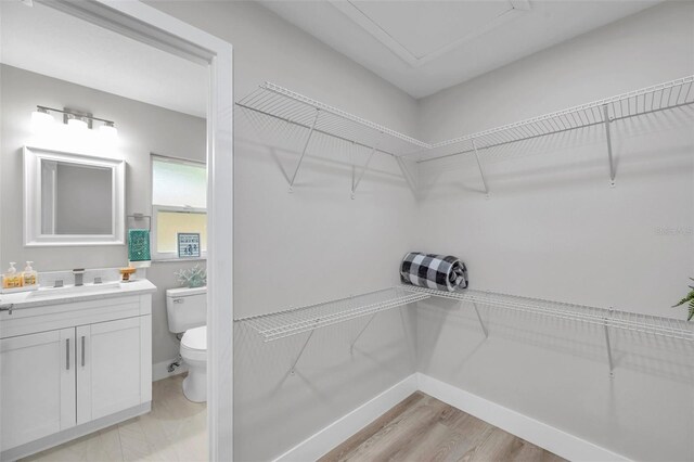 2585 Ridge Ln, Palm Harbor, FL 34684 - spacious closet with a sink and light wood-style floors