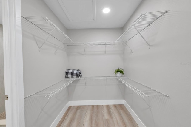 2585 Ridge Ln, Palm Harbor, FL 34684 - spacious closet featuring light wood finished floors
