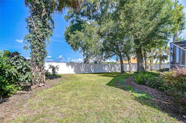 3012 Colonial Ridge Dr, Brandon, FL 33511 - view of yard