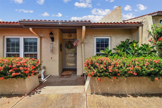 7200 Ulmerton Rd Unit E3, Largo, FL 33771 - photo 2