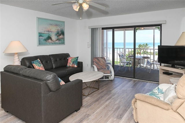 1000 Gulf Blvd Unit 403, Indian Rocks Beach, FL 33785 - photo 3