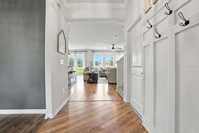 10603 Avian Forrest Dr, Riverview, FL 33578 - hall with crown molding and wood finished floors
