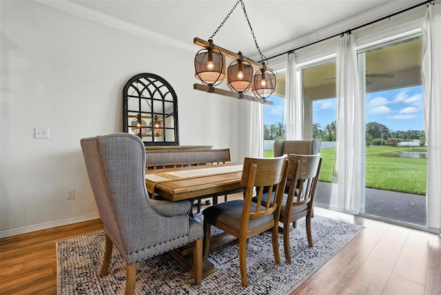 10603 Avian Forrest Dr, Riverview, FL 33578 - dining area featuring wood finished floors, ornamental molding, and a water view