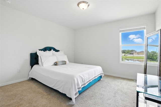 10603 Avian Forrest Dr, Riverview, FL 33578 - bedroom with carpet and baseboards