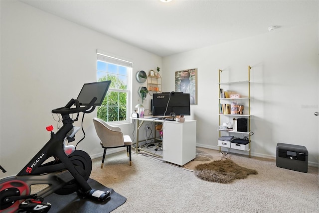 10603 Avian Forrest Dr, Riverview, FL 33578 - workout area with carpet floors