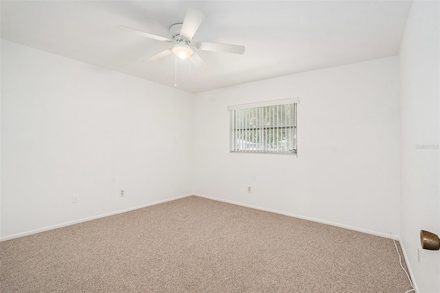 1606 Berwick Ct Unit B, Palm Harbor, FL 34684 - photo 16