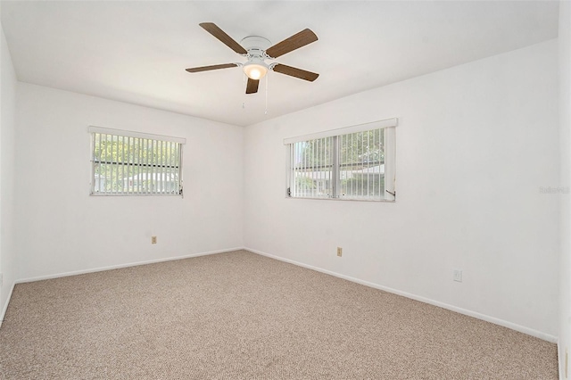 1606 Berwick Ct Unit B, Palm Harbor, FL 34684 - photo 20