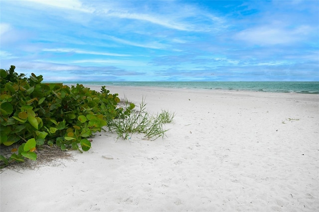 19530 Gulf Blvd Unit 1A, Indian Shores, FL 33785 - photo 28