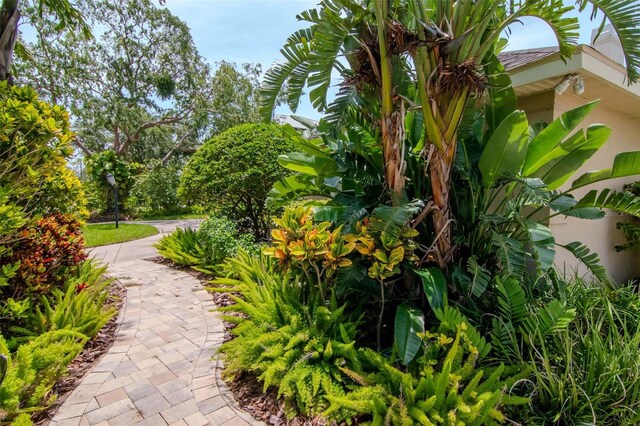 5106 W Poe Ave, Tampa, FL 33629 - photo 44