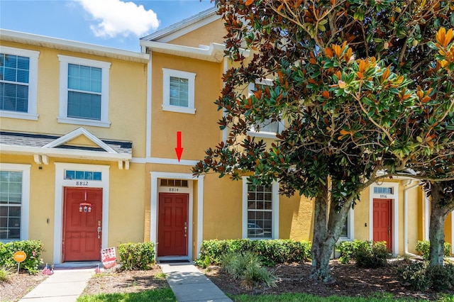 8814 Red Beechwood Ct, Riverview, FL 33578 - view of front of house featuring stucco siding