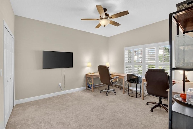 13136 Peachleaf Ave, Riverview, FL 33579 - photo 9