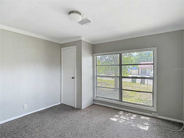 8614 N Orangeview Ave, Tampa, FL 33617 - photo 23
