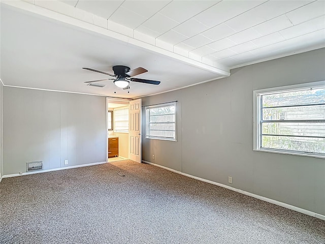 8614 N Orangeview Ave, Tampa, FL 33617 - photo 30