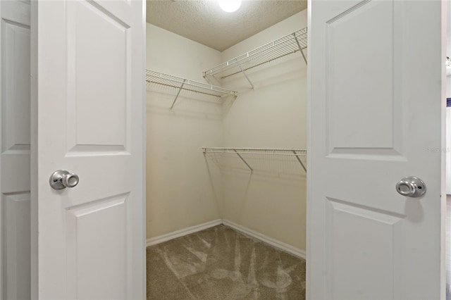 501 Knights Run Ave Unit 1317, Tampa, FL 33602 - spacious closet with carpet flooring
