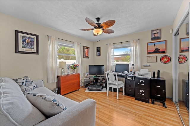13565 86th Ave, Seminole, FL 33776 - living area featuring light wood finished floors, ceiling fan, an office area, and a textured ceiling