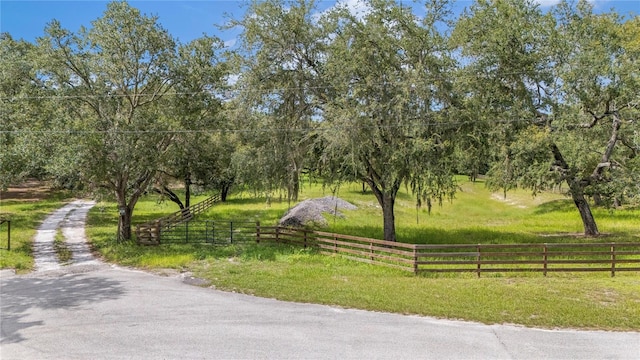 12541 Little Pete, Hudson, FL 34669 - photo 1